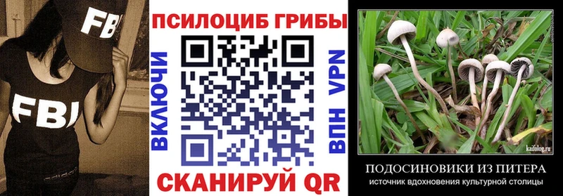 hydra сайт  Вятские Поляны  Псилоцибиновые грибы ЛСД 